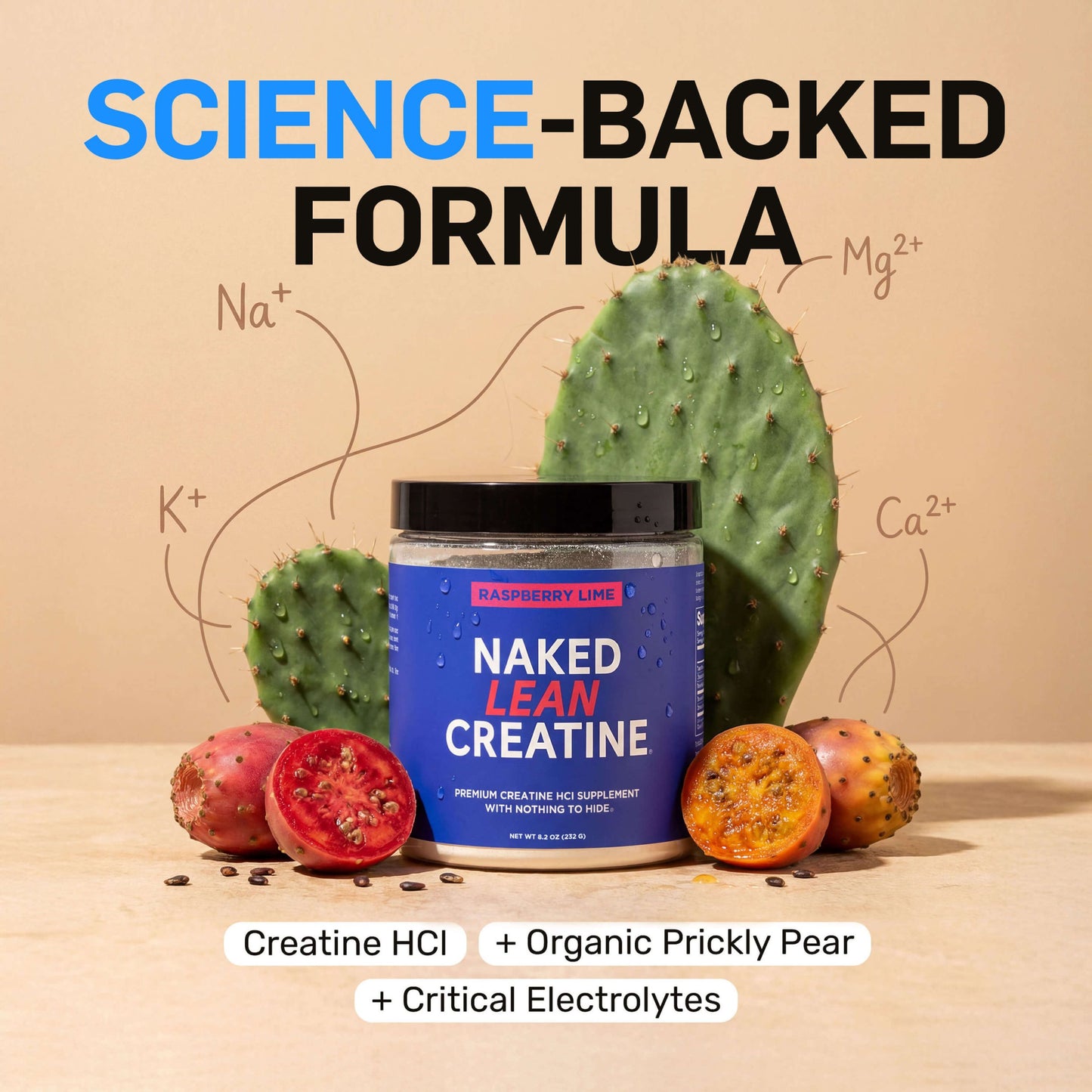 Raspberry Lime Creatine HCl Powder - Raspberry Lime with a Convenient Training-Day Formula