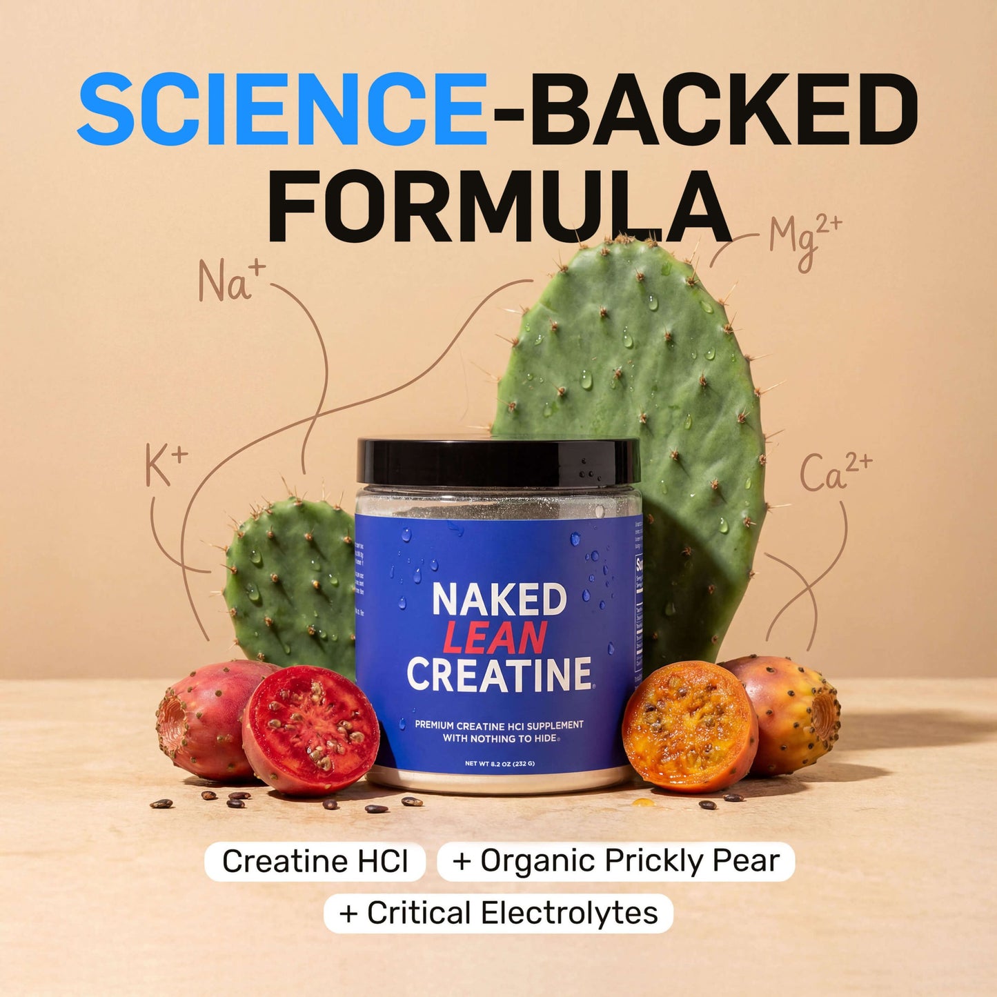 Creatine HCl Powder - Unflavored with a Convenient Training-Day Formula