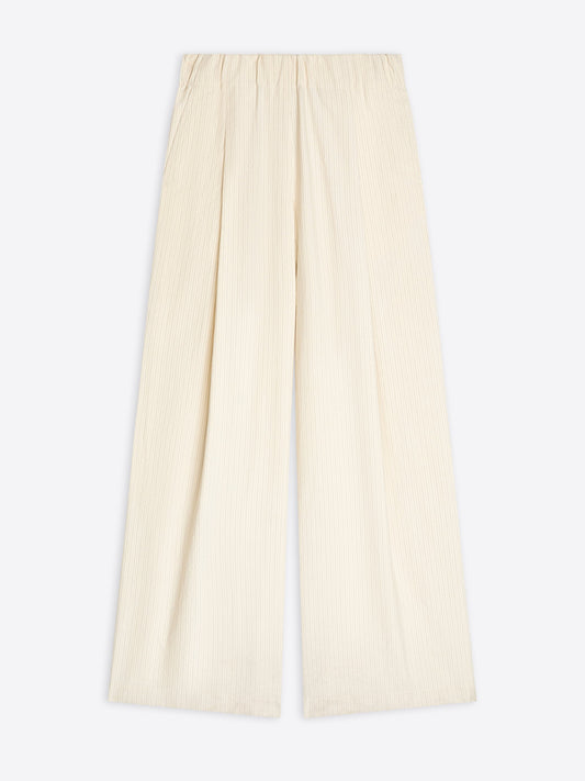 Wide Pleated Pants
