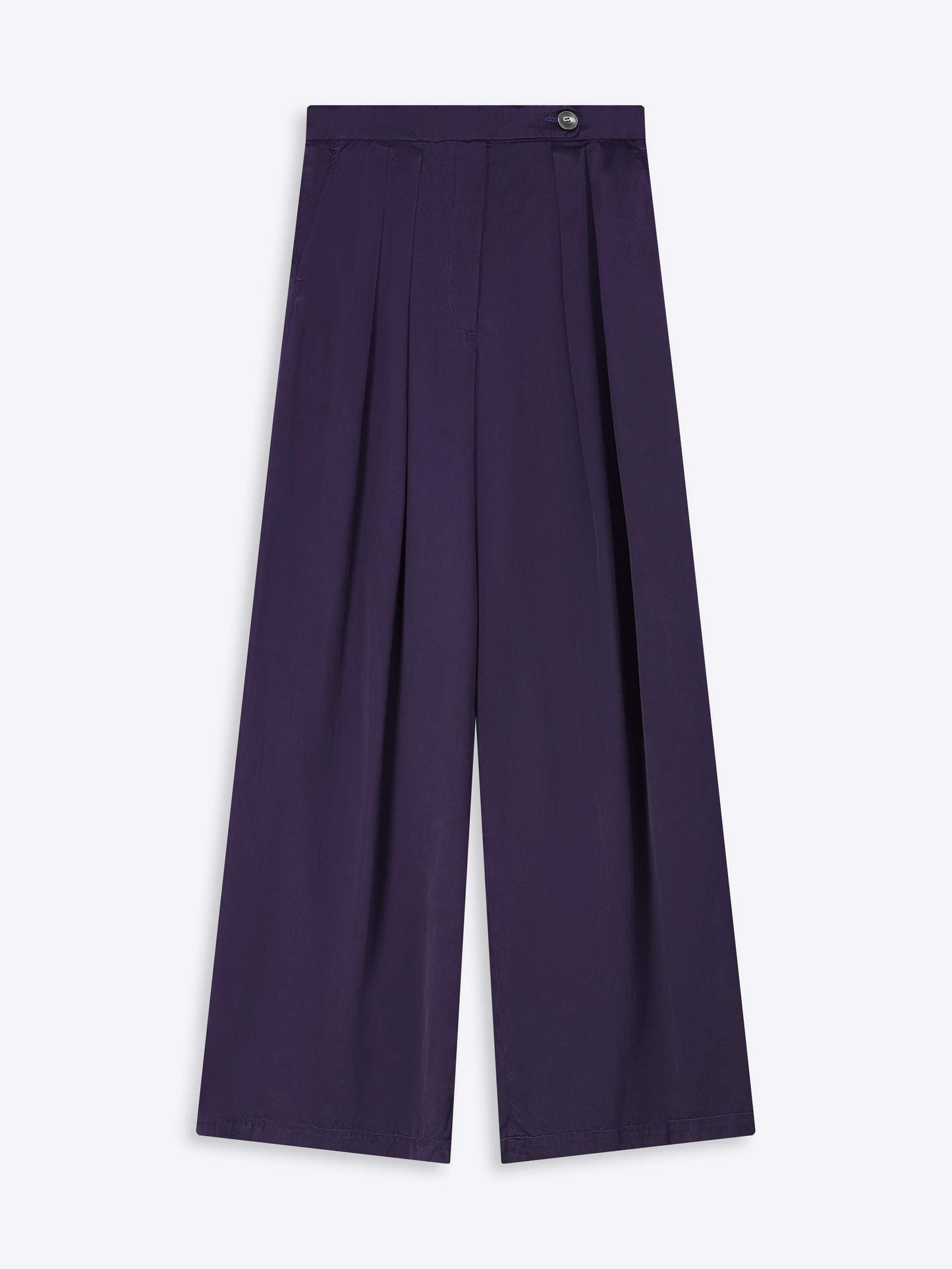 Wide Pleated Pants