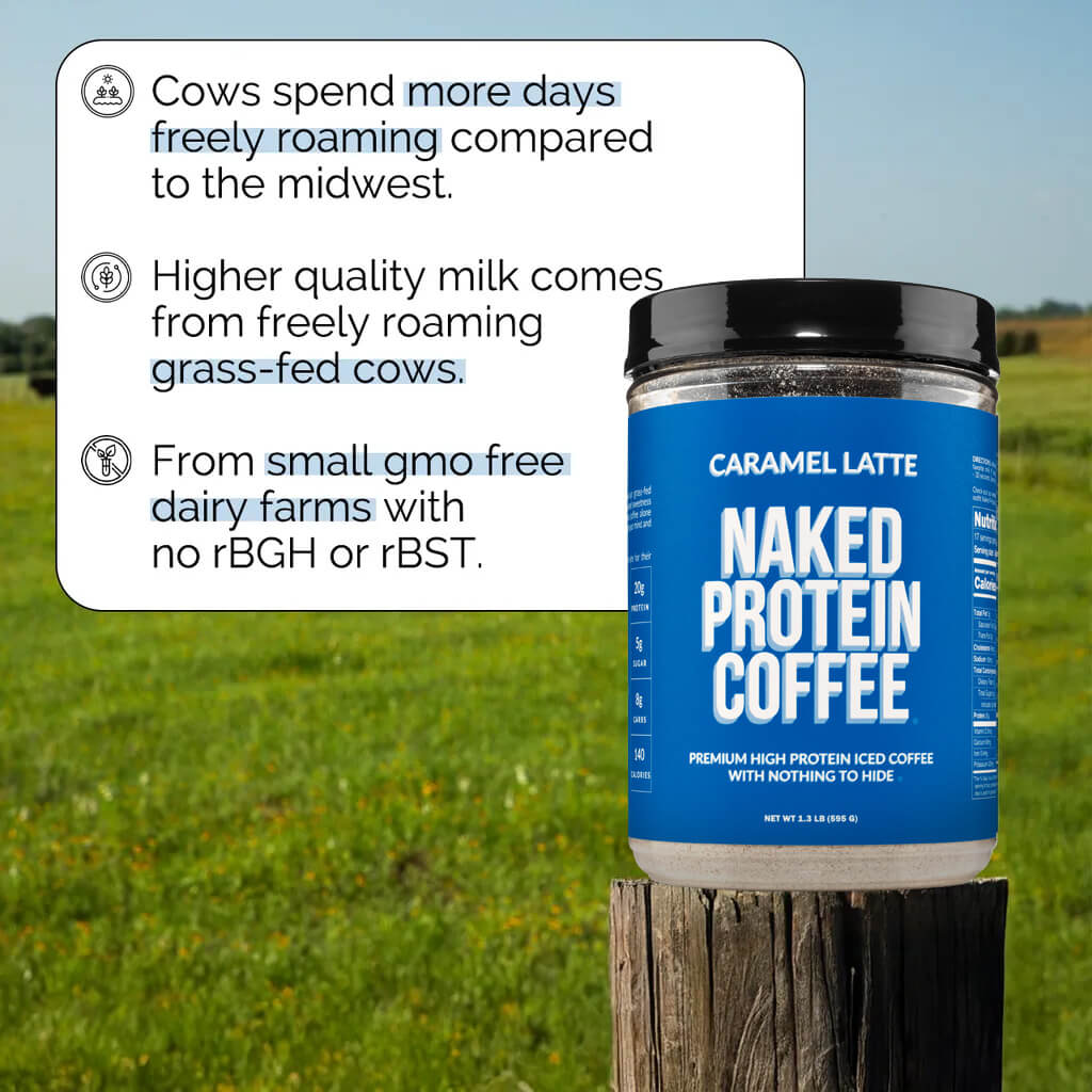 Caramel Latte Protein Iced Coffee - Caramel Latte with Coffee Flavor in an Easy-Mix Formula