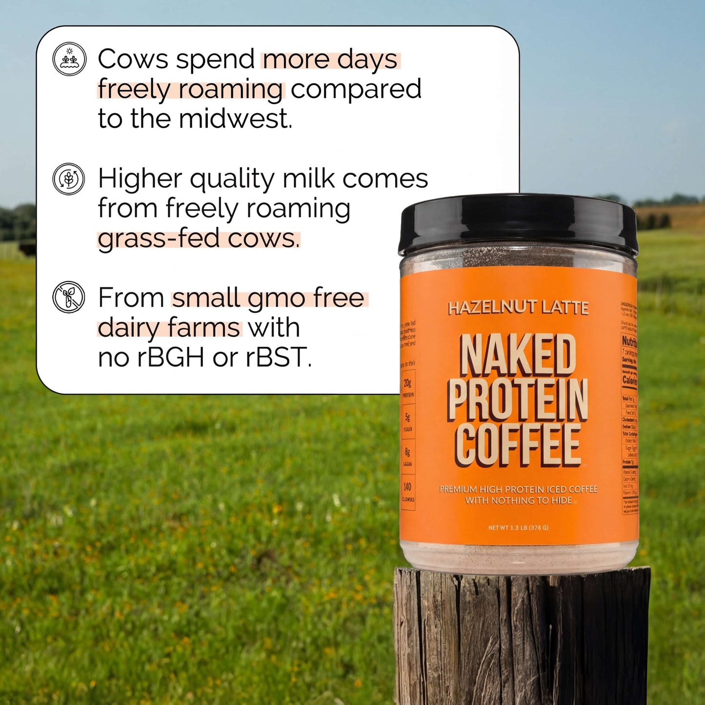 Hazelnut Latte Protein Iced Coffee - Hazelnut Latte with Coffee Flavor in an Easy-Mix Formula