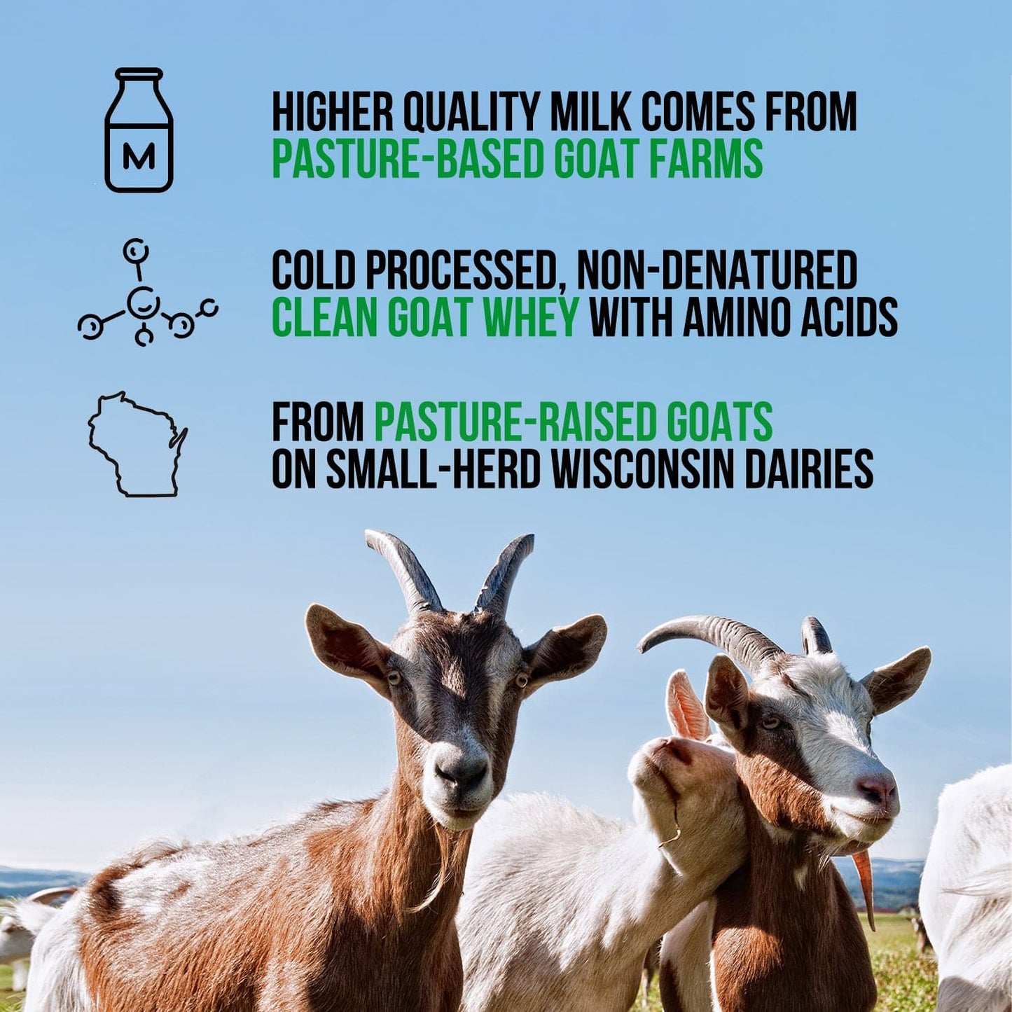 Vanilla Goat Whey Protein Powder - Vanilla with a Simple, Easy-Mix Protein Formula