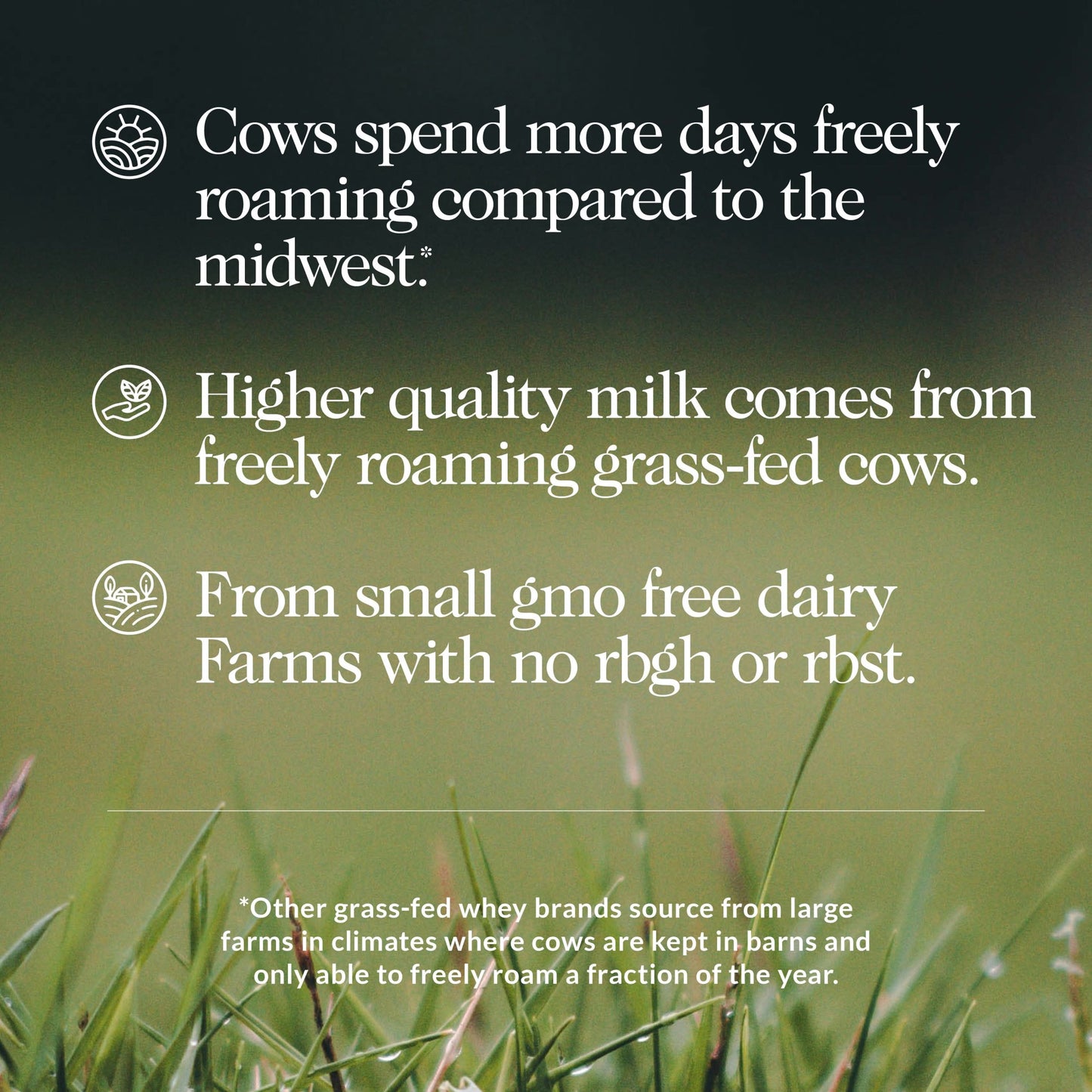 Vanilla Whey Protein Powder - Vanilla - Value Size with a Simple, Easy-Mix Protein Formula
