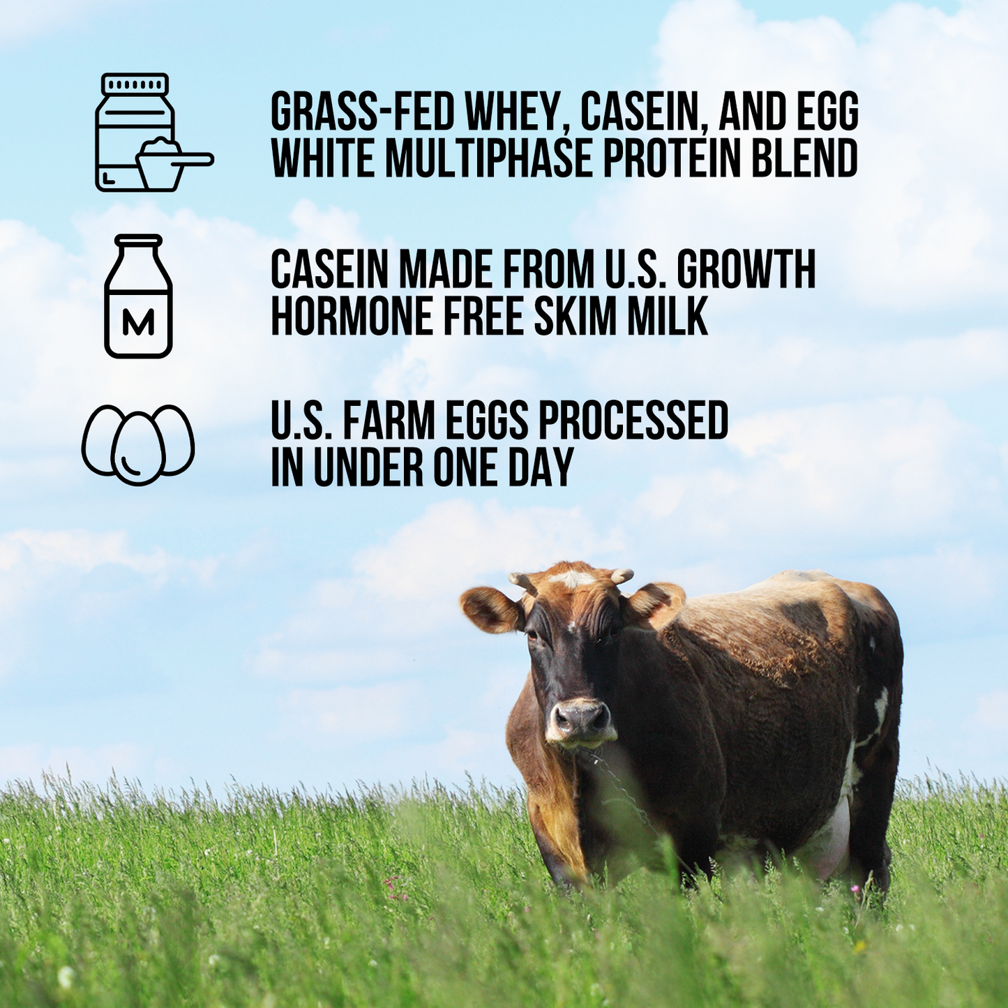 Protein Powder Blend - 3LB Egg Whey & Casein Protein Blend - 3LB with a Simple, Easy-Mix Protein Formula