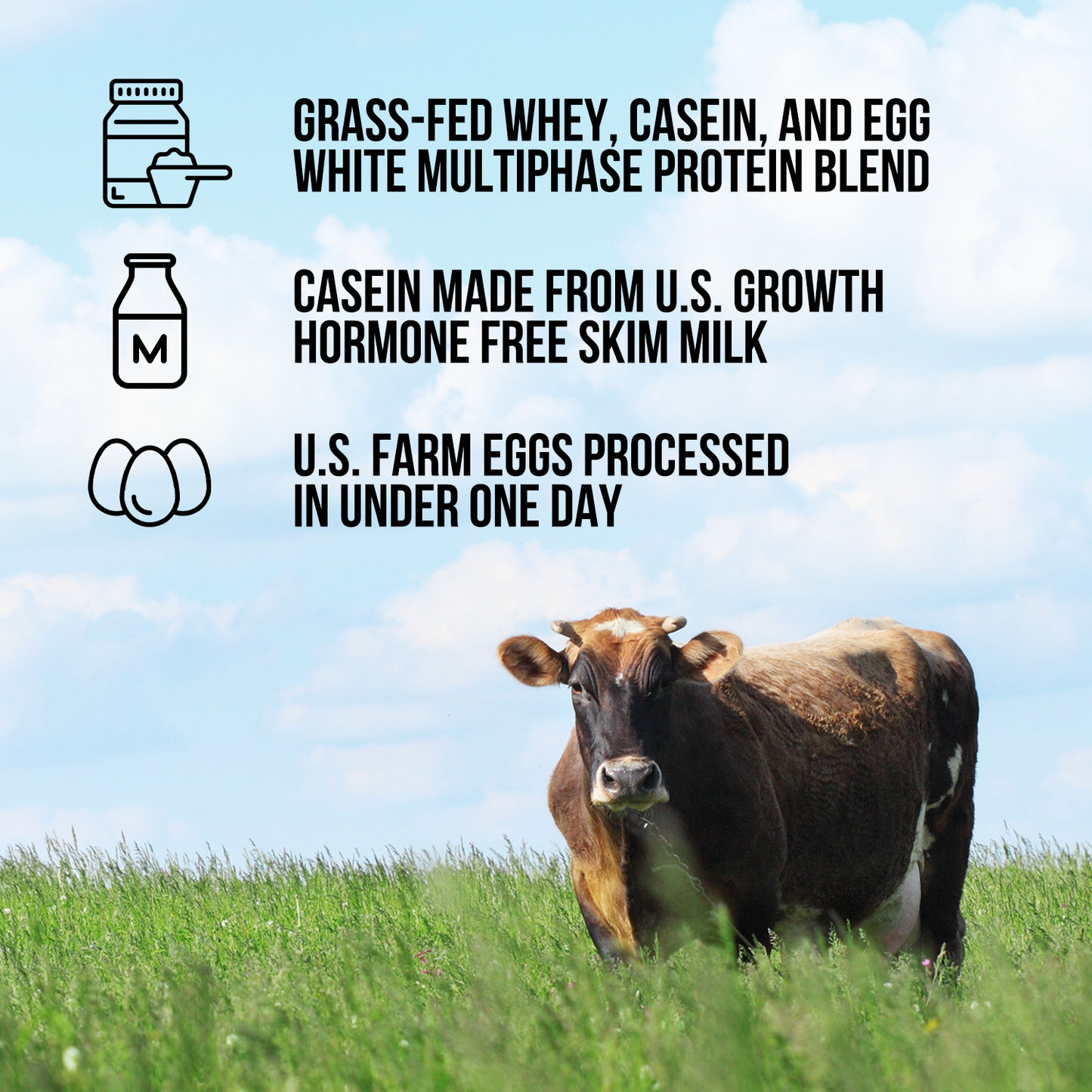 Protein Powder Blend - 1LB Egg Whey & Casein Protein Blend - 1LB with a Simple, Easy-Mix Protein Formula