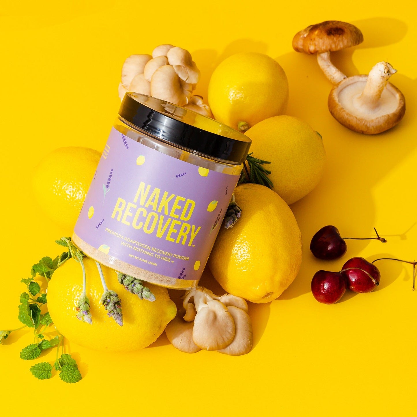 Mushroom Blend Supplement with Tart Cherry & Lemon Balm with a Convenient, Easy-Use Formula