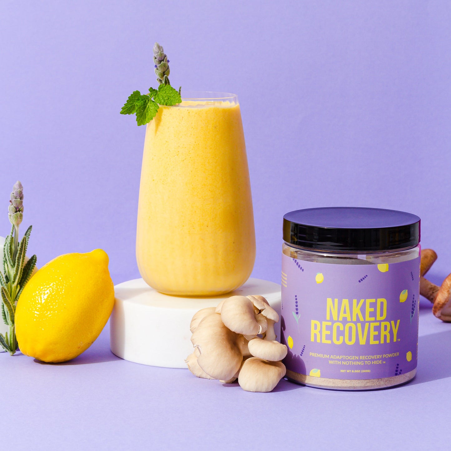 Mushroom Blend Supplement with Tart Cherry & Lemon Balm with a Convenient, Easy-Use Formula