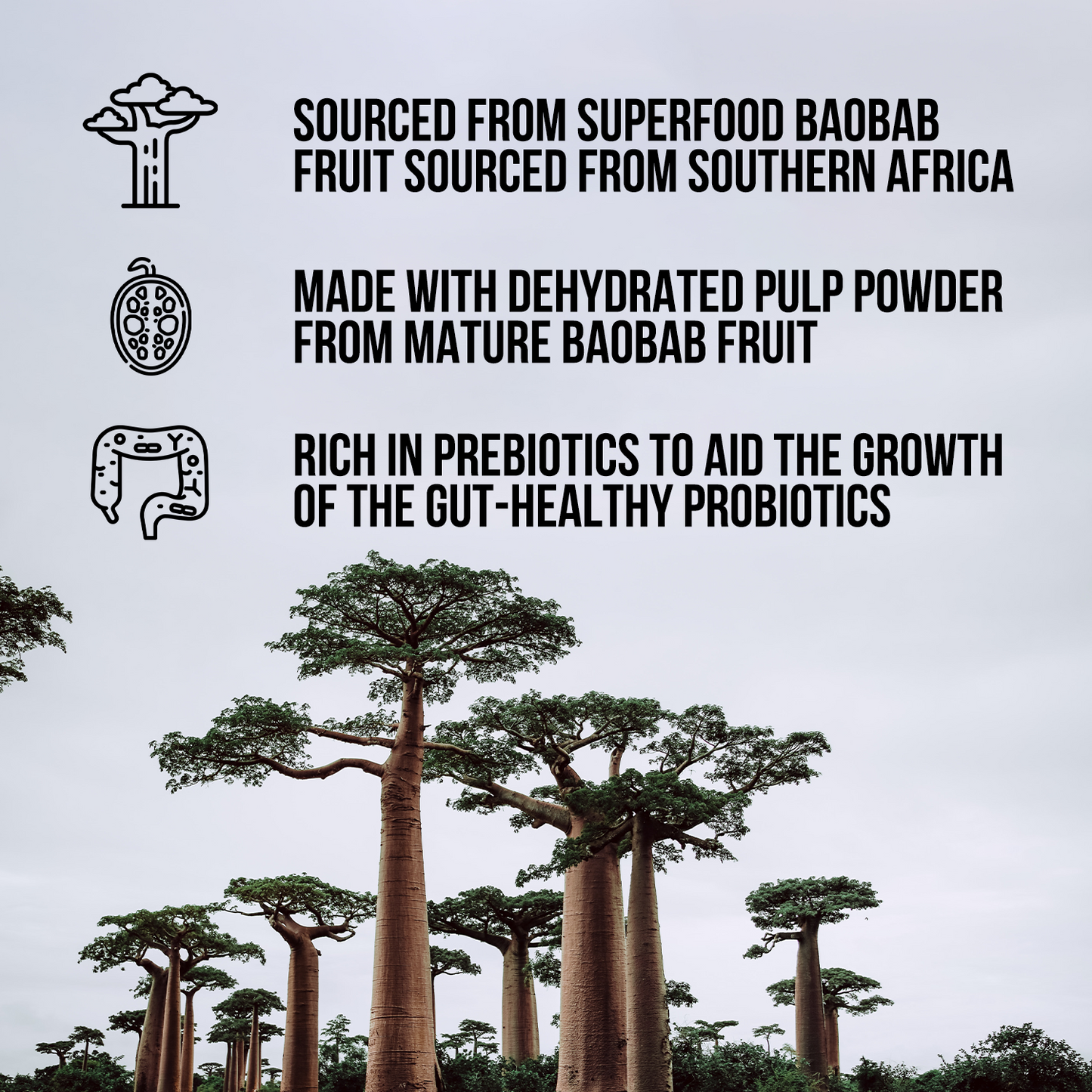 Organic Fiber Supplement with a Convenient, Easy-Use Formula