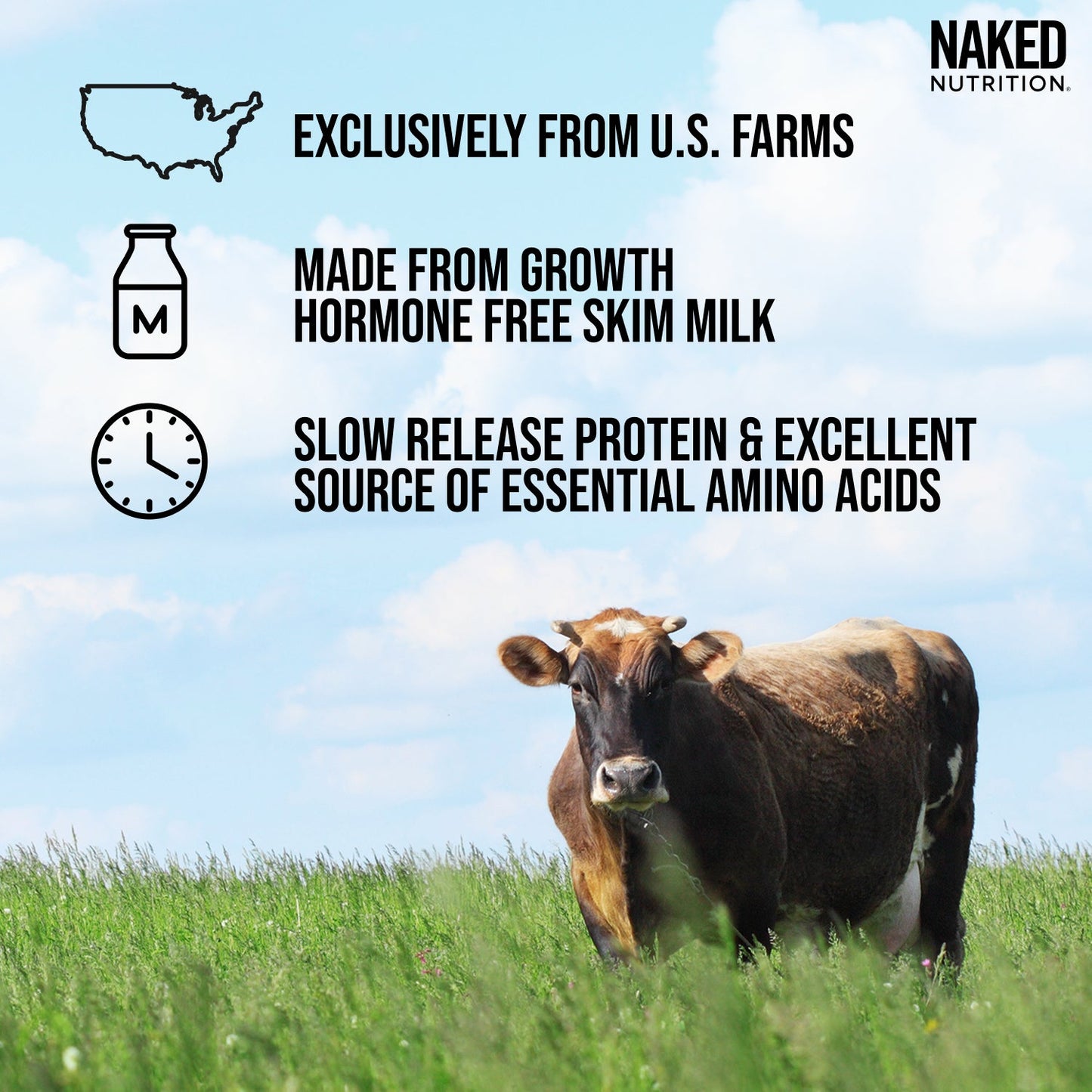 Micellar Casein Protein Powder - Unflavored - Value Size with a Simple, Easy-Mix Protein Formula