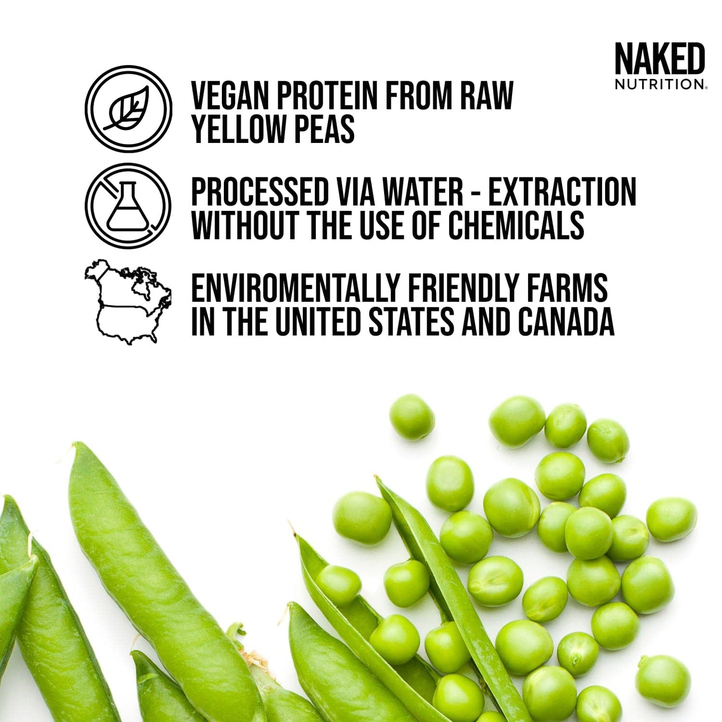 Vegan Protein Powder Sample Pack with a Simple, Easy-Mix Protein Formula